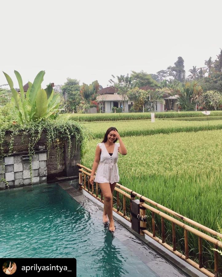 Nirankara Private Pool Villa - By Ubud Paradise Exterior photo