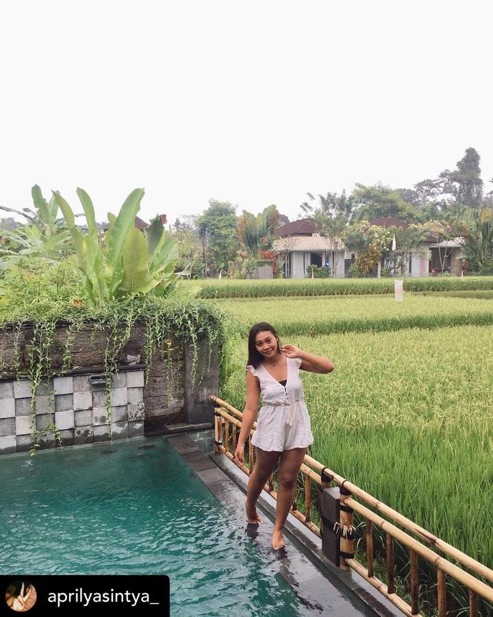 Nirankara Private Pool Villa - By Ubud Paradise Exterior photo